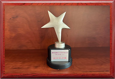 最具發(fā)展?jié)摿χ袊?guó)彩盒企業(yè)